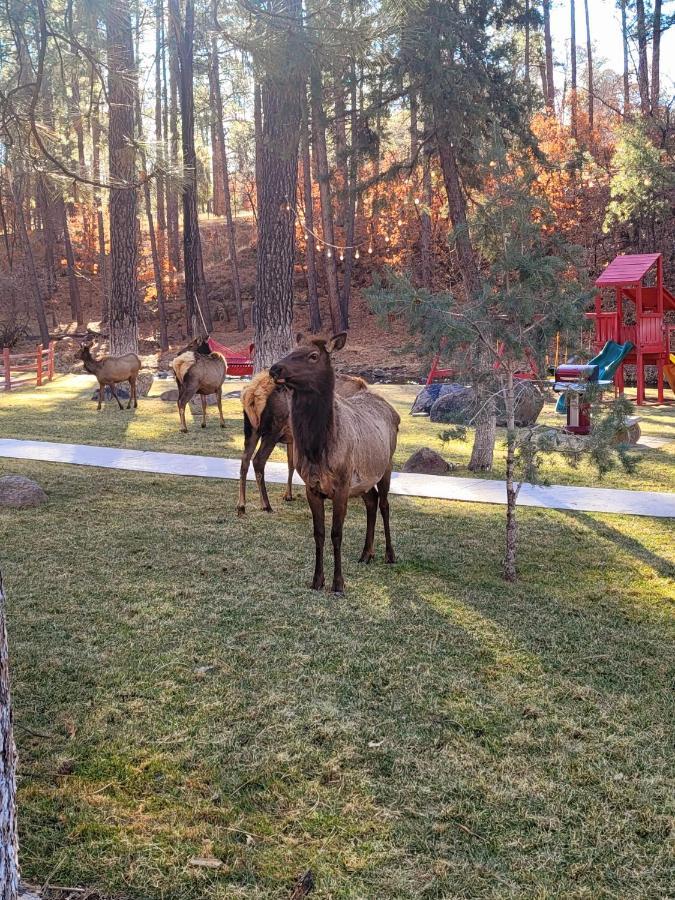 Sierra Blanca Cabins Hotel Ruidoso Ngoại thất bức ảnh